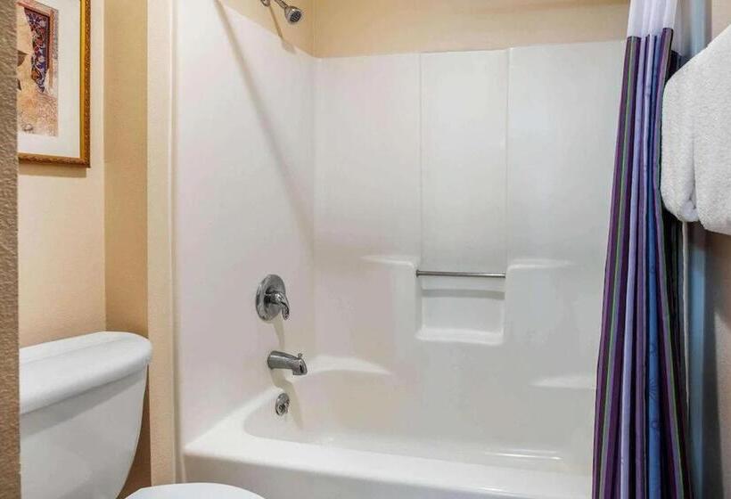 غرفه قياسيه سريرين مزدوجين, La Quinta Inn By Wyndham Detroit Southgate