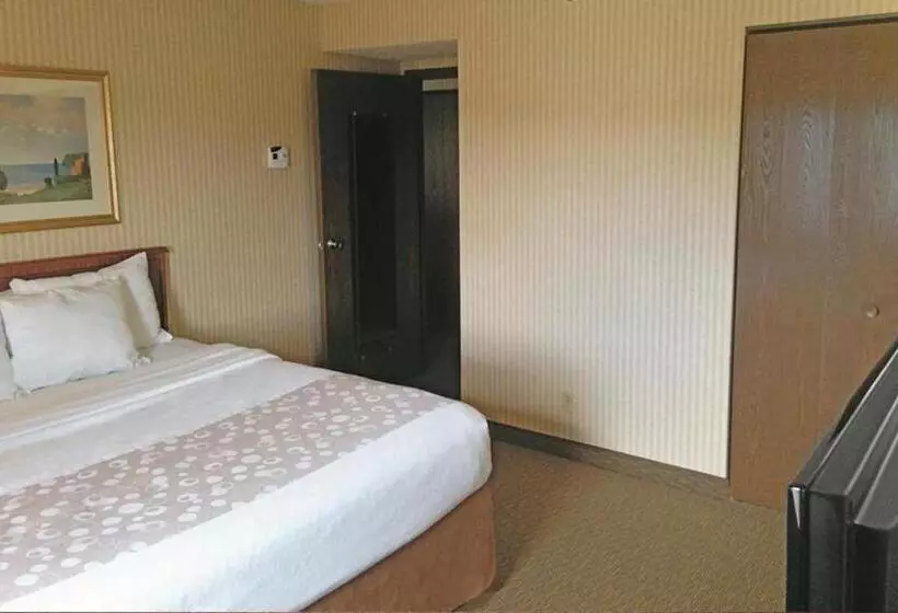 キングサイズベッドのエクゼクティブルーム, La Quinta Inn By Wyndham Detroit Southgate