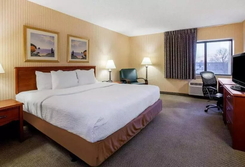 キングサイズベッドのエクゼクティブルーム, La Quinta Inn By Wyndham Detroit Southgate