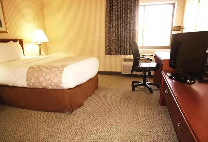 身障者適用スタンダードルーム, La Quinta Inn By Wyndham Detroit Southgate