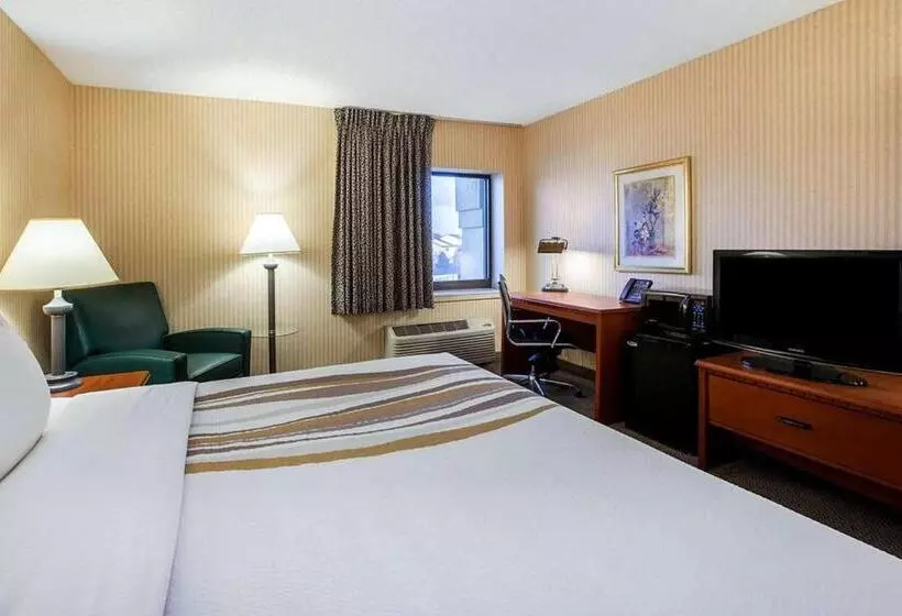 身障者適用スタンダードルーム, La Quinta Inn By Wyndham Detroit Southgate
