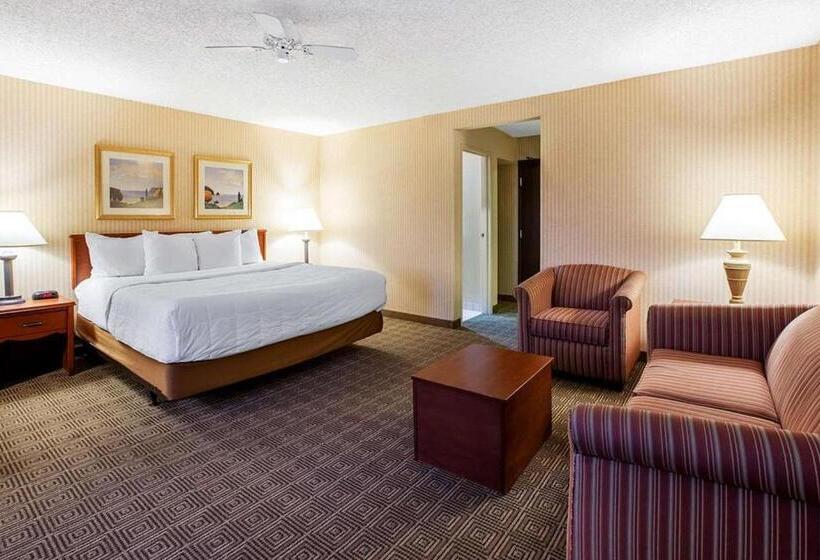 Апартаменты 1 Спальня, La Quinta Inn By Wyndham Detroit Southgate