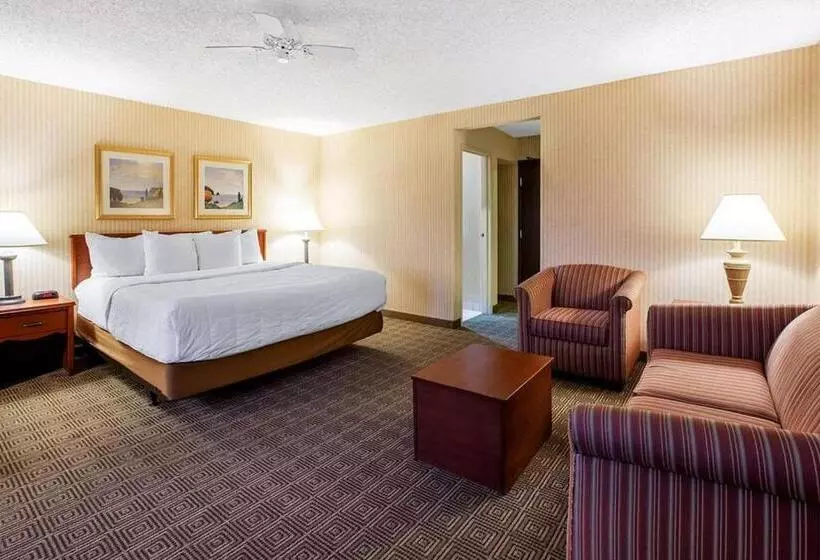 １ベッドルームアパートメント, La Quinta Inn By Wyndham Detroit Southgate