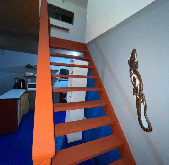 バスルーム共有のシングルスタンダード, Pua Vaenga