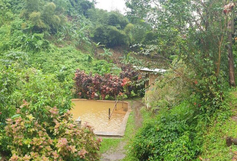 اتاق استاندارد با دسترسی به اسپا, Ti Kwen Glo Cho