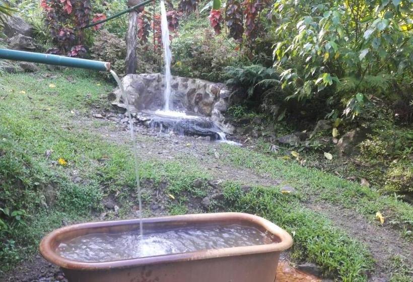 اتاق استاندارد با دسترسی به اسپا, Ti Kwen Glo Cho