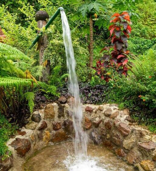 اتاق استاندارد با دسترسی به اسپا, Ti Kwen Glo Cho