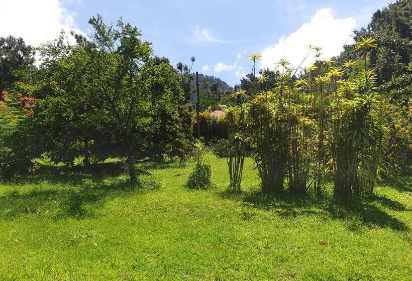 اتاق استاندارد با دسترسی به اسپا, Ti Kwen Glo Cho