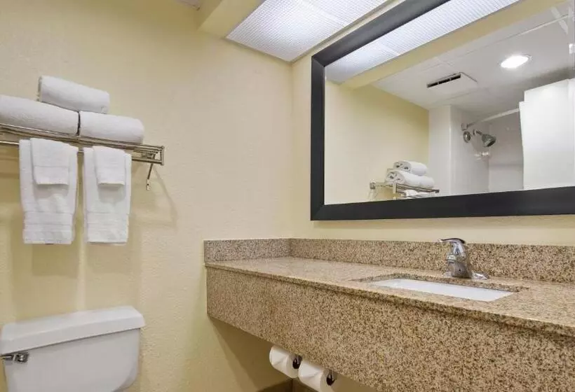 キングサイズベッドのスタンダードルーム, Best Western Gateway To The Keys   Florida City, Homestead, Everglades