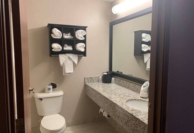 스탠다드 룸, Best Western Park Oasis Inn