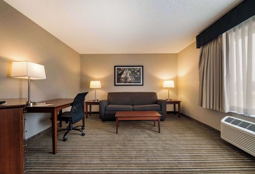 غرفة قياسية, Best Western Park Oasis Inn