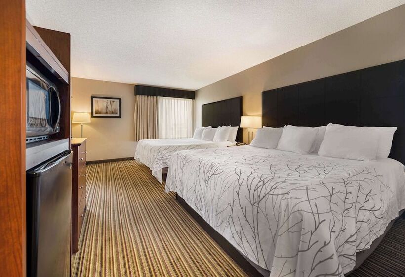 غرفة قياسية, Best Western Park Oasis Inn