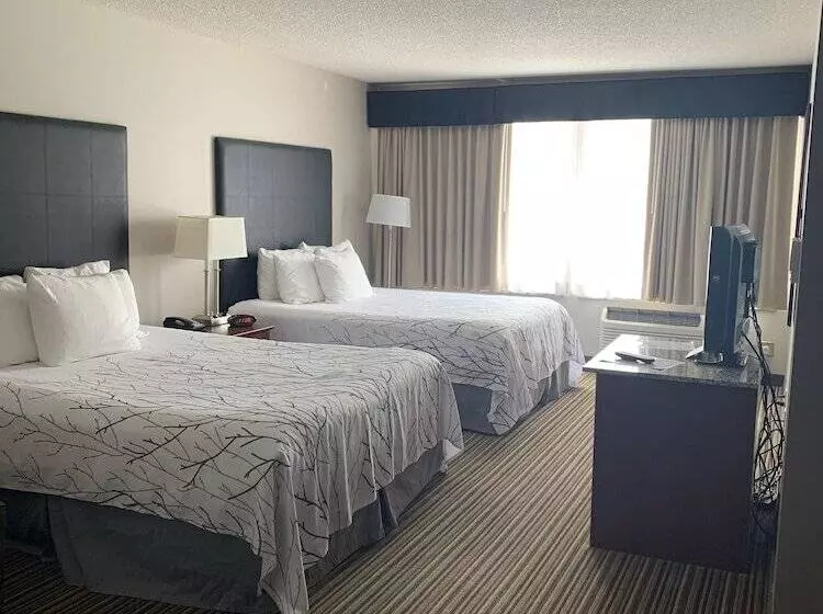 スイート, Best Western Park Oasis Inn