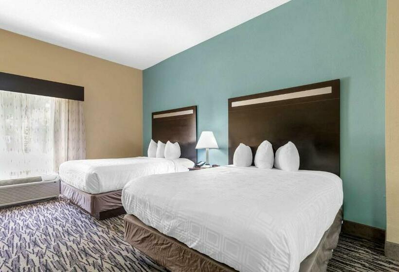 스위트, Best Western Plus Mcdonough Inn & Suites