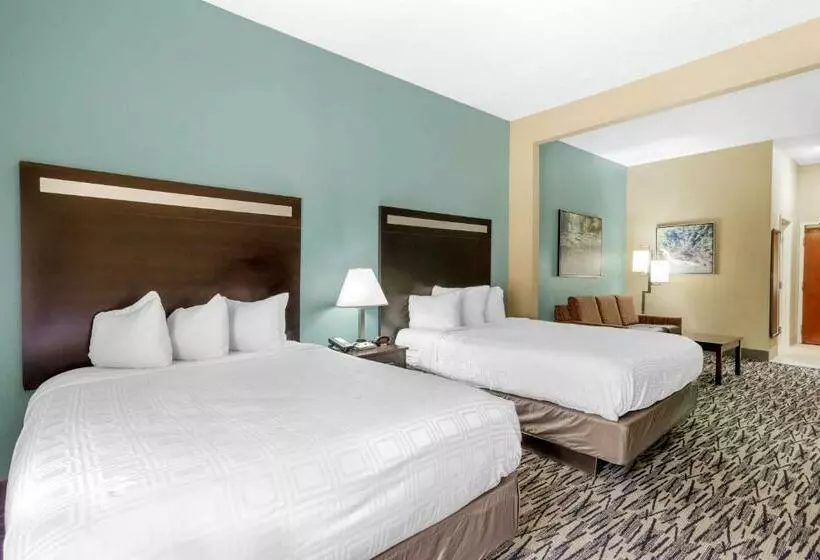 スイート, Best Western Plus Mcdonough Inn & Suites