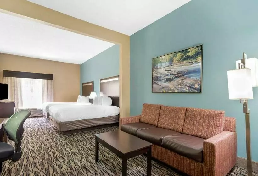 スイート, Best Western Plus Mcdonough Inn & Suites