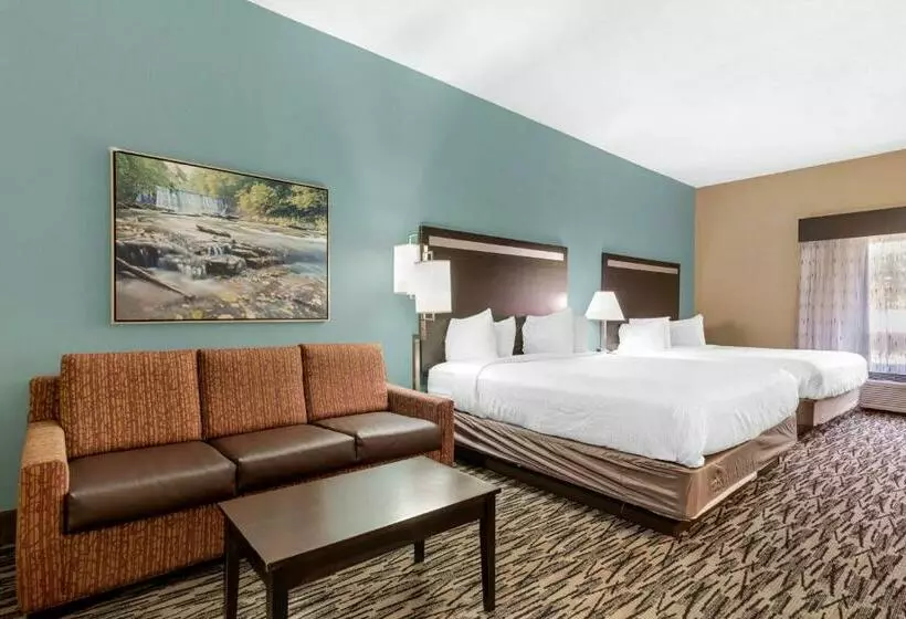 スイート, Best Western Plus Mcdonough Inn & Suites