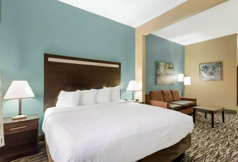 身障者適用スイートルーム, Best Western Plus Mcdonough Inn & Suites