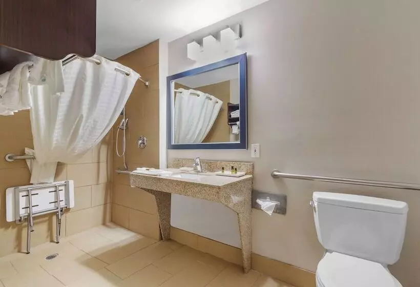 身障者適用スイートルーム, Best Western Plus Mcdonough Inn & Suites