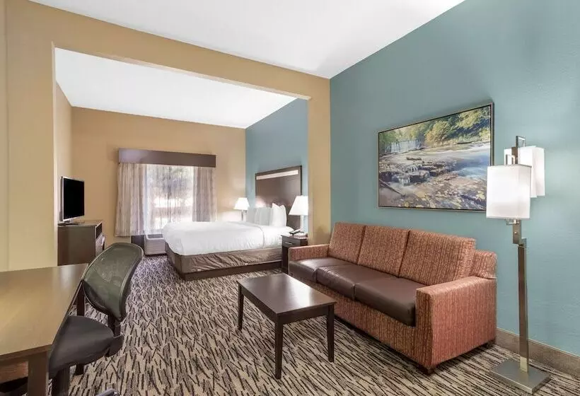 身障者適用スイートルーム, Best Western Plus Mcdonough Inn & Suites