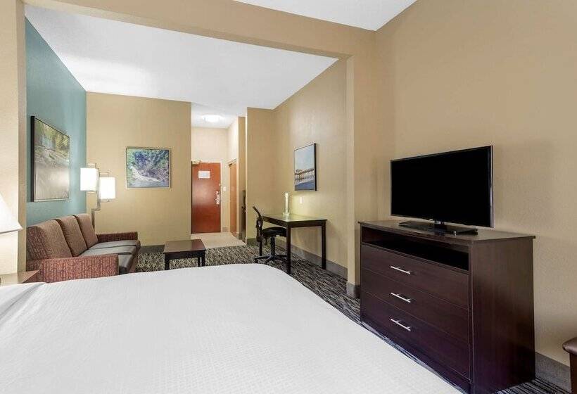 جناح لذوى الاحتياجات الخاصة, Best Western Plus Mcdonough Inn & Suites