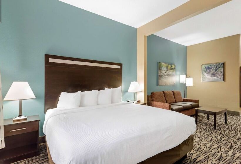 장애인을 위한 스위트, Best Western Plus Mcdonough Inn & Suites
