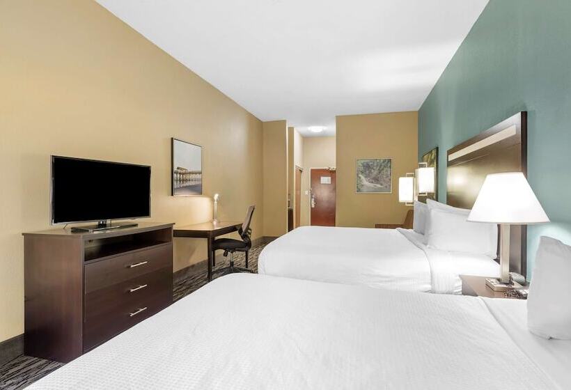 스위트, Best Western Plus Mcdonough Inn & Suites