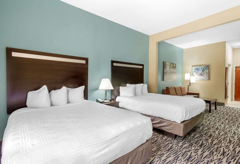 جناح, Best Western Plus Mcdonough Inn & Suites