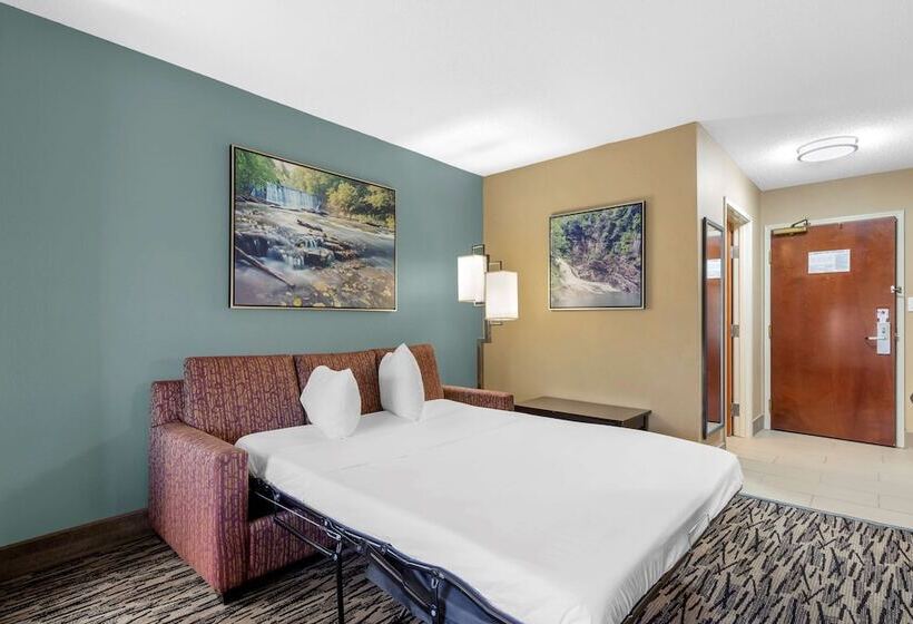 스위트, Best Western Plus Mcdonough Inn & Suites