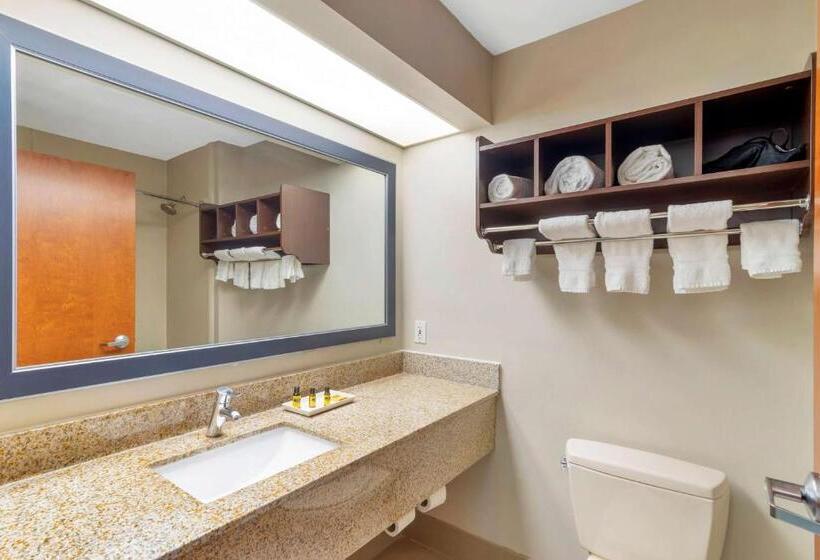 스위트 킹사이즈 침대, Best Western Plus Mcdonough Inn & Suites