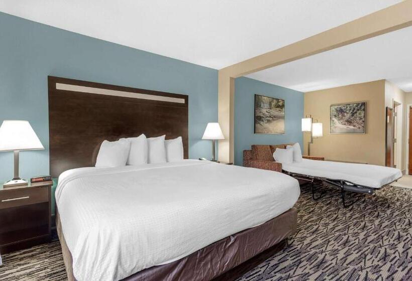 스위트 킹사이즈 침대, Best Western Plus Mcdonough Inn & Suites