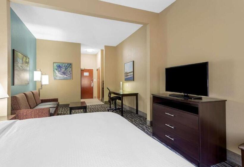 جناح سرير كينج, Best Western Plus Mcdonough Inn & Suites
