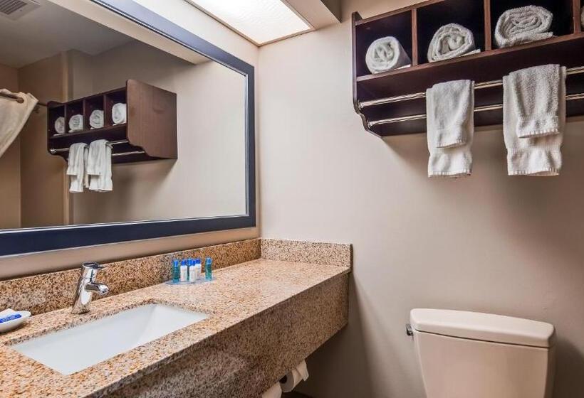 جناح, Best Western Plus Mcdonough Inn & Suites