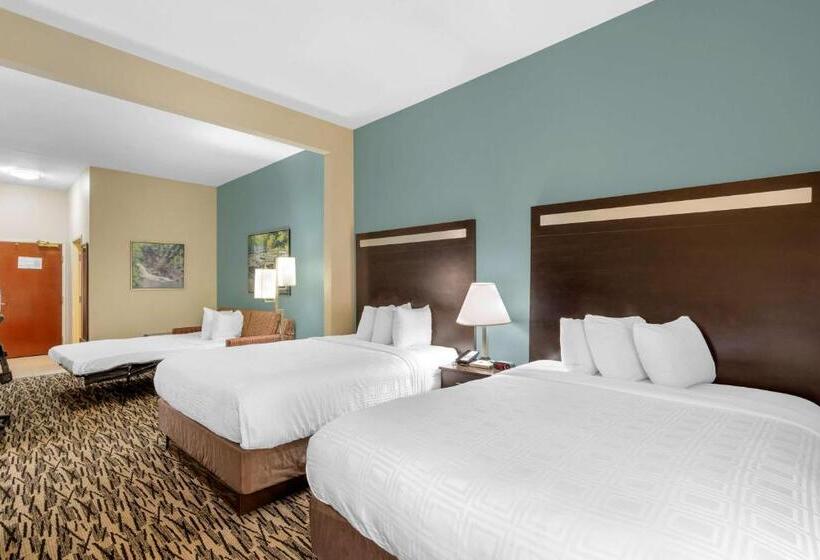 جناح, Best Western Plus Mcdonough Inn & Suites