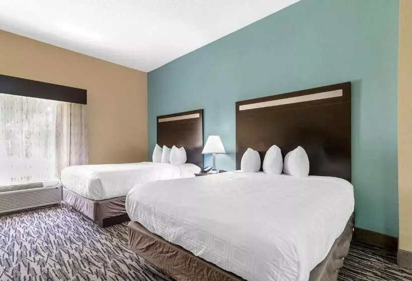 身障者適用スタンダードルーム, Best Western Plus Mcdonough Inn & Suites
