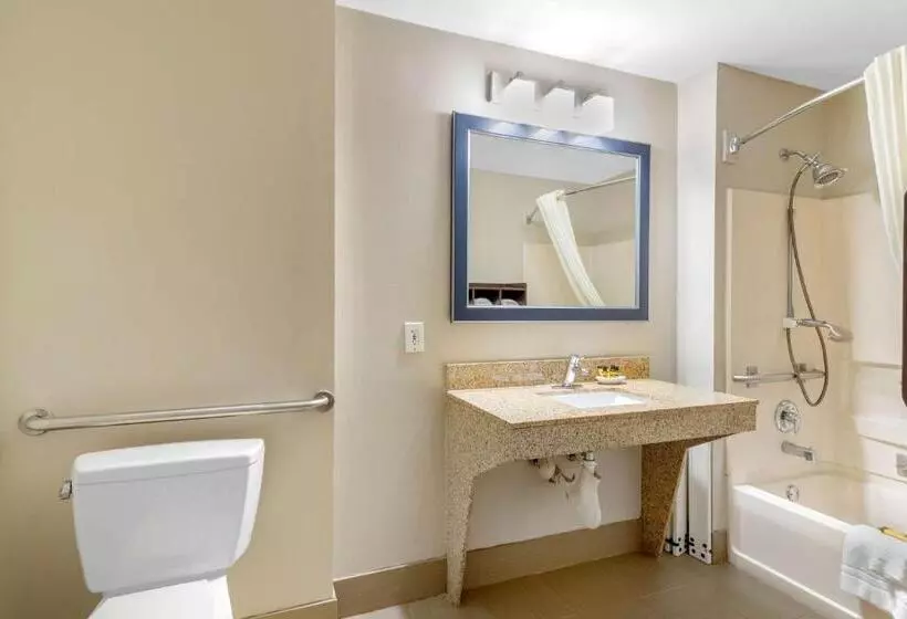 身障者適用スタンダードルーム, Best Western Plus Mcdonough Inn & Suites