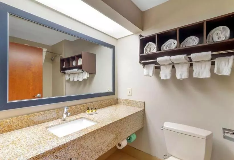 身障者適用スタンダードルーム, Best Western Plus Mcdonough Inn & Suites