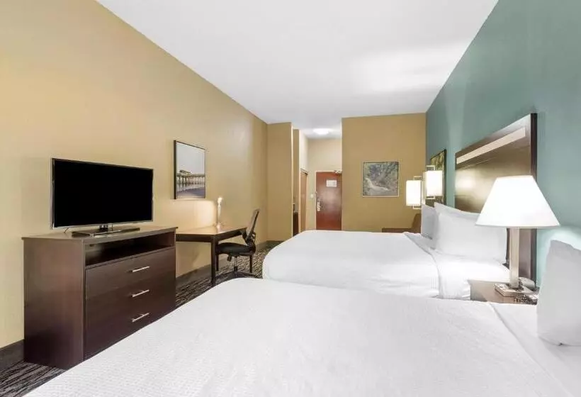 身障者適用スタンダードルーム, Best Western Plus Mcdonough Inn & Suites