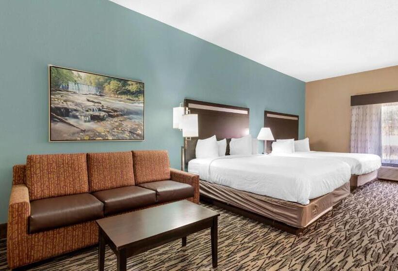 장애인을 위한 스탠다드 룸, Best Western Plus Mcdonough Inn & Suites