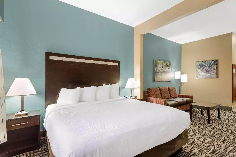 キングサイズベッドのスイートルーム, Best Western Plus Mcdonough Inn & Suites