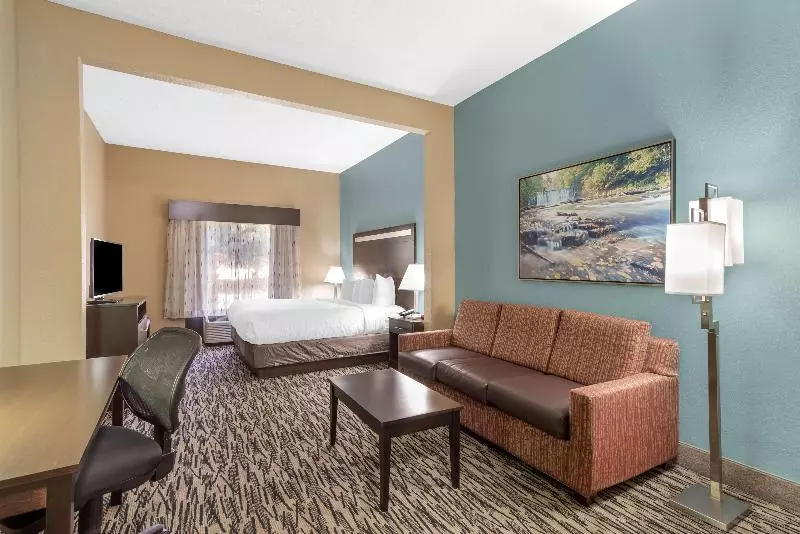 キングサイズベッドのスイートルーム, Best Western Plus Mcdonough Inn & Suites