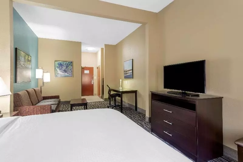 キングサイズベッドのスイートルーム, Best Western Plus Mcdonough Inn & Suites