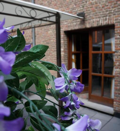 جناح ديلوكس, Charming Suites Jan Zonder Vrees