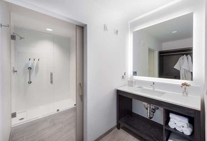 غرفة قياسية سرير كينج, The Harpeth Franklin Downtown, Curio Collection By Hilton