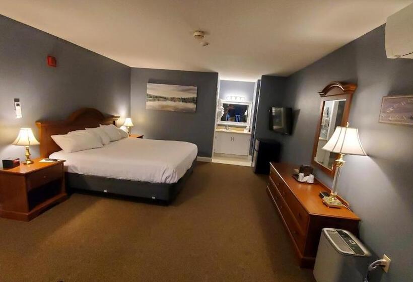 스탠다드 룸 킹사이즈 침대, Birch Knoll Motel