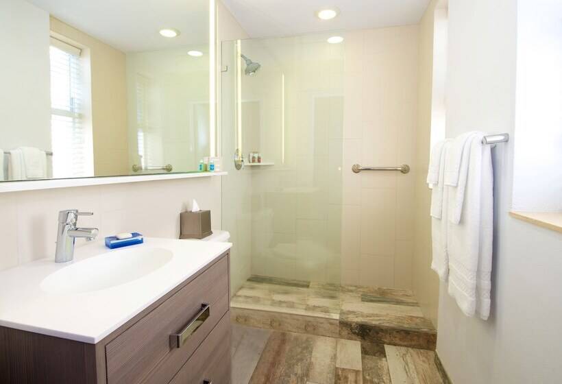 스탠다드 룸 더블 침대 2개, Blue Moon