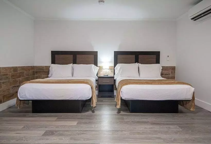 スタンダードスタジオ, Hampton S Vacation Inn