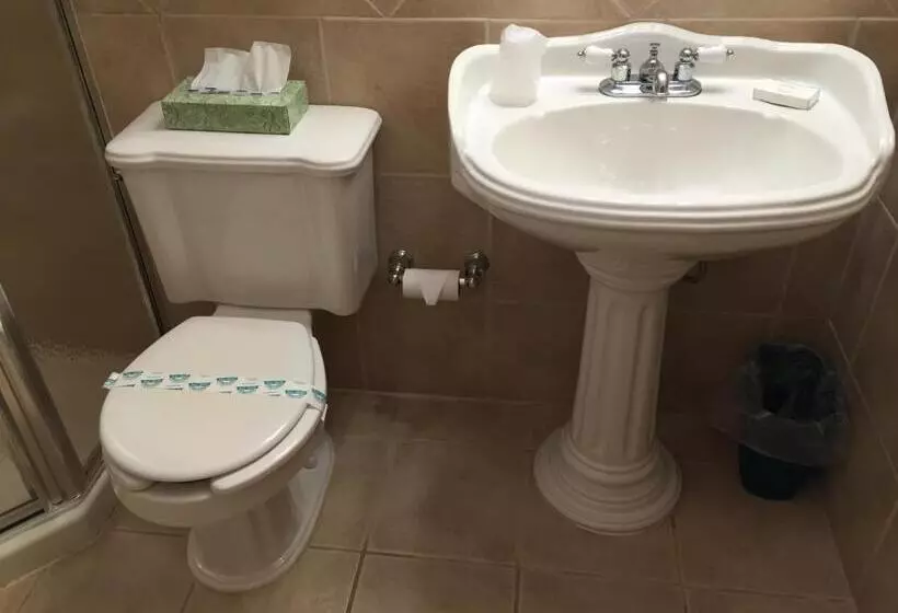 キングサイズベッドのスタンダードルーム, Hampton S Vacation Inn