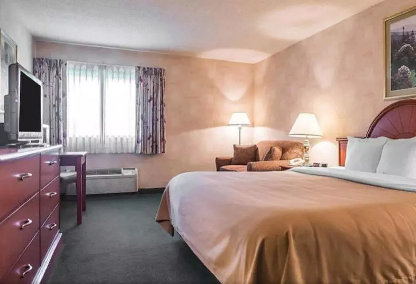 سوئیت با تخت بزرگ, Quality Inn