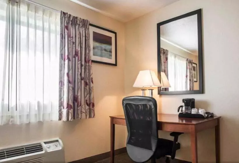 سوئیت با تخت بزرگ, Quality Inn